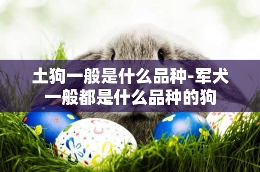 土狗一般是什么品種-軍犬一般都是什么品種的狗
