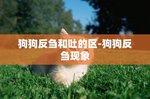 狗狗反芻和吐的區-狗狗反芻現象