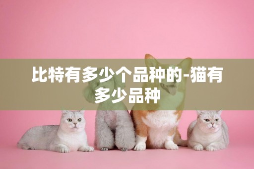 比特有多少個品種的-貓有多少品種