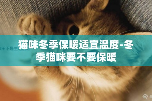 貓咪冬季保暖適宜溫度-冬季貓咪要不要保暖