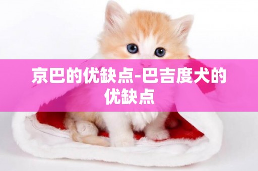 京巴的優缺點-巴吉度犬的優缺點