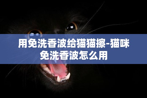 用免洗香波給貓貓擦-貓咪免洗香波怎么用