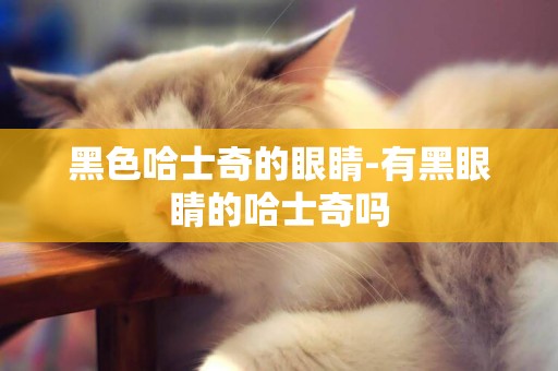 黑色哈士奇的眼睛-有黑眼睛的哈士奇嗎