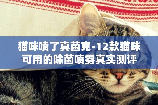 貓咪噴了真菌克-12款貓咪可用的除菌噴霧真實測評