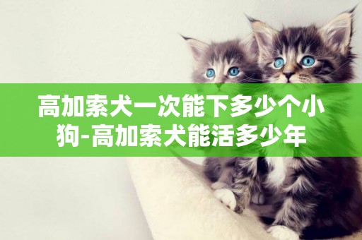 高加索犬一次能下多少個小狗-高加索犬能活多少年