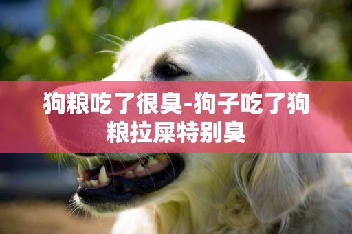 狗糧吃了很臭-狗子吃了狗糧拉屎特別臭