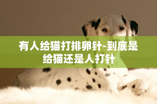 有人給貓打排卵針-到底是給貓還是人打針