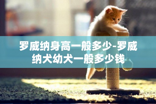 羅威納身高一般多少-羅威納犬幼犬一般多少錢