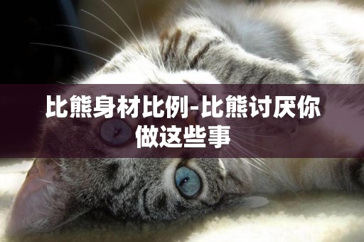 比熊身材比例-比熊討厭你做這些事