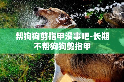 幫狗狗剪指甲沒事吧-長期不幫狗狗剪指甲