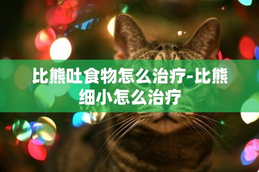 比熊吐食物怎么治療-比熊細小怎么治療