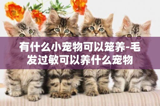 有什么小寵物可以籠養-毛發過敏可以養什么寵物