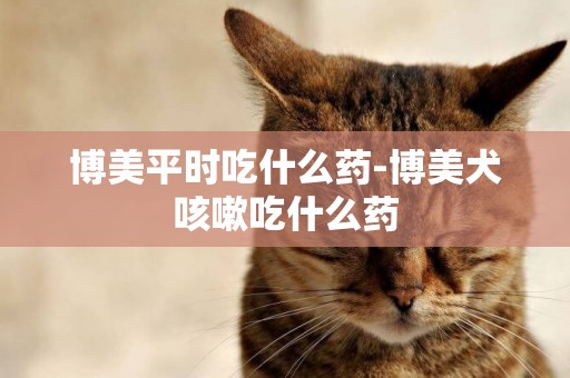 博美平時吃什么藥-博美犬咳嗽吃什么藥