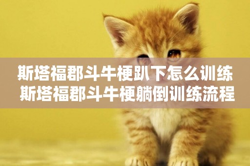 斯塔福郡斗牛梗趴下怎么訓練 斯塔福郡斗牛梗躺倒訓練流程