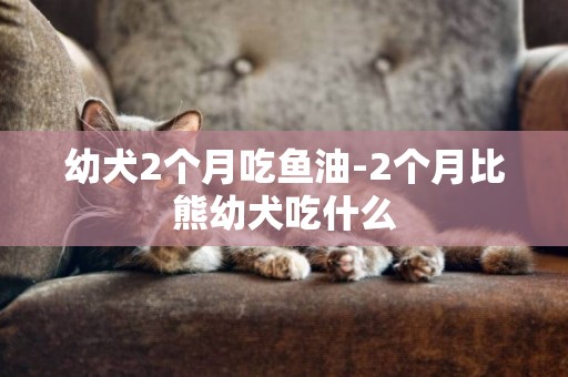 幼犬2個月吃魚油-2個月比熊幼犬吃什么