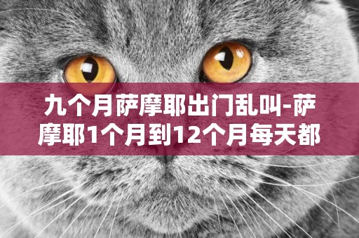 九個月薩摩耶出門亂叫-薩摩耶1個月到12個月每天都應該吃幾次