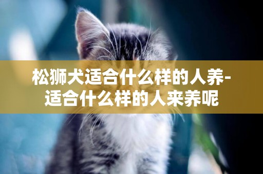 松獅犬適合什么樣的人養-適合什么樣的人來養呢