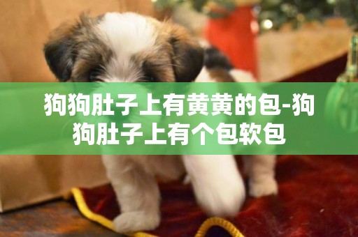 狗狗肚子上有黃黃的包-狗狗肚子上有個包軟包
