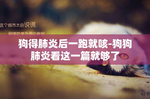 狗得肺炎后一跑就咳-狗狗肺炎看這一篇就夠了