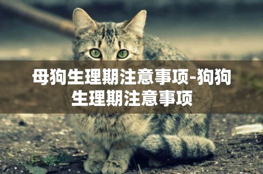 母狗生理期注意事項-狗狗生理期注意事項