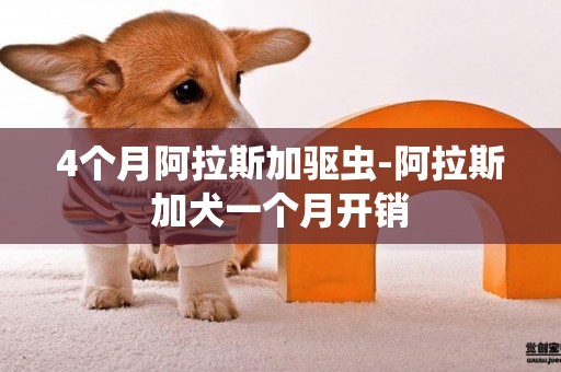 4個月阿拉斯加驅蟲-阿拉斯加犬一個月開銷