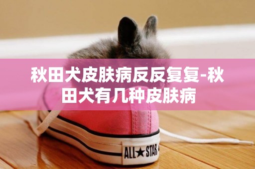 秋田犬皮膚病反反復復-秋田犬有幾種皮膚病
