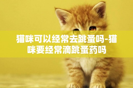 貓咪可以經常去跳蚤嗎-貓咪要經常滴跳蚤藥嗎