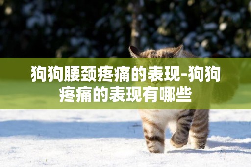 狗狗腰頸疼痛的表現-狗狗疼痛的表現有哪些