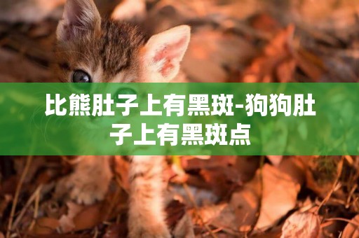 比熊肚子上有黑斑-狗狗肚子上有黑斑點