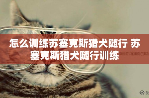 怎么訓練蘇塞克斯獵犬隨行 蘇塞克斯獵犬隨行訓練