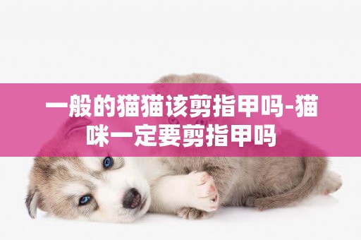 一般的貓貓該剪指甲嗎-貓咪一定要剪指甲嗎