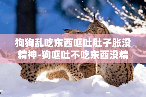 狗狗亂吃東西嘔吐肚子脹沒精神-狗嘔吐不吃東西沒精神吃什么藥