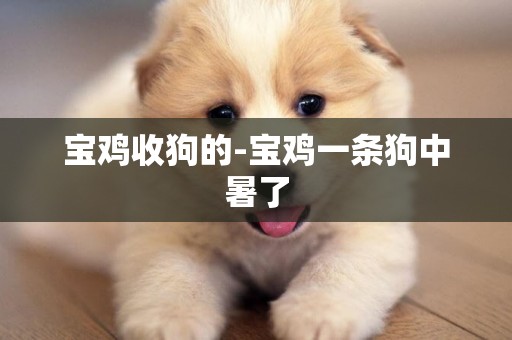 寶雞收狗的-寶雞一條狗中暑了