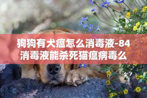 狗狗有犬瘟怎么消毒液-84消毒液能殺死貓瘟病毒么