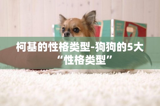 柯基的性格類型-狗狗的5大“性格類型”