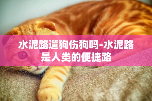 水泥路遛狗傷狗嗎-水泥路是人類的便捷路