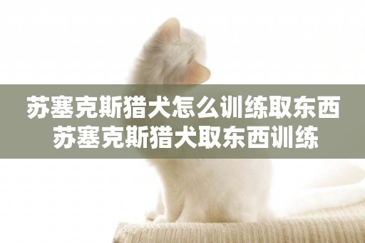 蘇塞克斯獵犬怎么訓練取東西 蘇塞克斯獵犬取東西訓練