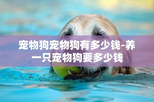 寵物狗寵物狗有多少錢-養一只寵物狗要多少錢