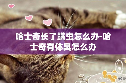 哈士奇長了螨蟲怎么辦-哈士奇有體臭怎么辦