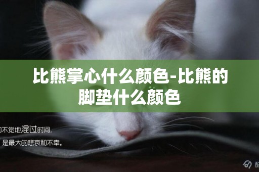 比熊掌心什么顏色-比熊的腳墊什么顏色