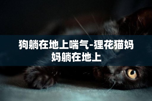 狗躺在地上喘氣-貍花貓媽媽躺在地上