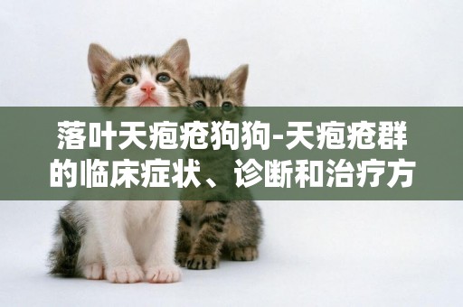 落葉天皰瘡狗狗-天皰瘡群的臨床癥狀、診斷和治療方法