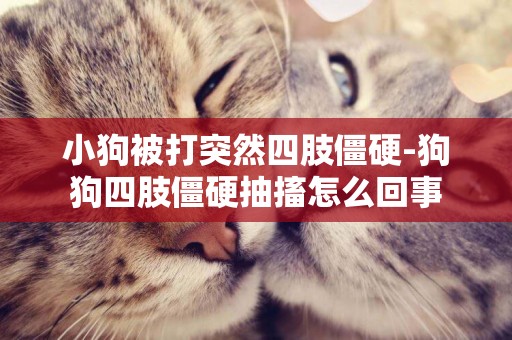 小狗被打突然四肢僵硬-狗狗四肢僵硬抽搐怎么回事