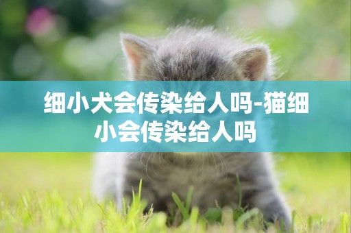 細小犬會傳染給人嗎-貓細小會傳染給人嗎