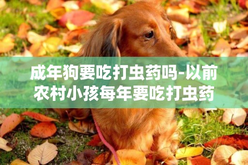 成年狗要吃打蟲藥嗎-以前農村小孩每年要吃打蟲藥