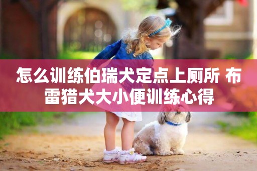 怎么訓練伯瑞犬定點上廁所 布雷獵犬大小便訓練心得