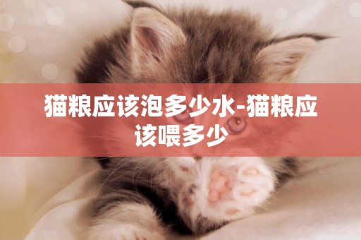 貓糧應該泡多少水-貓糧應該喂多少