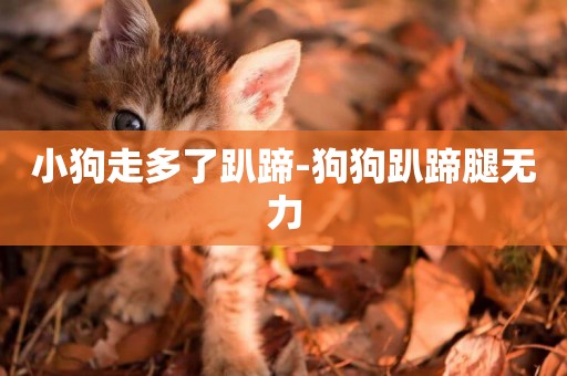小狗走多了趴蹄-狗狗趴蹄腿無力