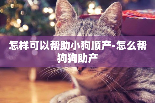 怎樣可以幫助小狗順產-怎么幫狗狗助產