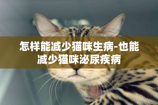 怎樣能減少貓咪生病-也能減少貓咪泌尿疾病